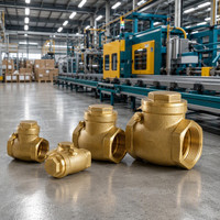 Válvula de Retención de Latón Roscada NPT, Válvulas de Retención de Giro sin Plomo, Evitan el Flujo Regresivo para Agua, Gas, Bombas y Plomería