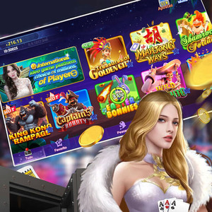 Le distributeur de jeux aux États-Unis souhaite obtenir une licence et distribuer la personnalisation de jeux en ligne populaires basés sur les compétences VBlink. - Product Image 1