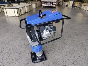 निर्माण रैमर कम्पेक्टर मशीन 5.5hp गैसोलीन इंजन टैम्पिंग रैमर - Product Image 2