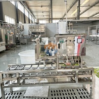Ligne de production de tofu soyeux de haute qualité avec une productivité élevée, composants principaux PLC, 220V