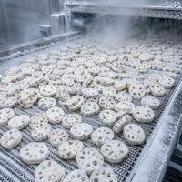 Tranches de racine de lotus halal IQF surgelées de qualité supérieure en gros |   Racines de lotus fraîches 100 % naturelles pré-coupées pour hotpot et sautés