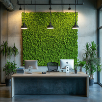 Panneau de mousse prêt à l'emploi véritable mousse naturelle peinture décorative cadre d'art mural mousse photo décoration de bureau