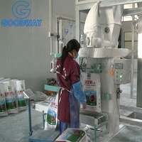 Machine de transformation de l'amidon de manioc Goodway, ligne de production d'amidon de manioc