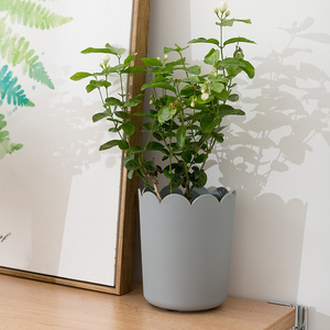 RUIPU — Pots <span class=keywords><strong>de</strong></span> fleurs en plastique PP, <span class=keywords><strong>pot</strong></span> <span class=keywords><strong>de</strong></span> fleurs pour jardin orange/gris, <span class=keywords><strong>balcon</strong></span> extérieur, bon marché, en stock - Product Image 2