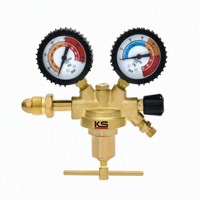 Régulateur de pression d'azote haute pression avec manomètres pour utilisation avec une bouteille de gaz N2