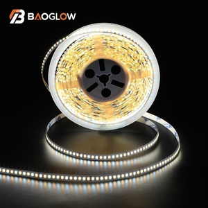 Hot Sale 18W/M DC 24V IP20 <b>Copper</b> 8mm Flexible Snake Lights 3000K+6000K SMD2835 LED <b>Strip</b> Lights 3000K+6000K Warm White RoHS - Product Image 1