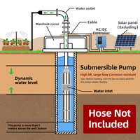 Pompe submersible à vis rotative solaire DC de 3 pouces anti-sable pour puits et usage domestique