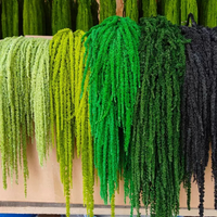 Grosir 5 tangkai/buket Bunga Amaranthus Hijau Segar Asli Awet Bunga Amaranth Kering Hiasan Bunga untuk Dekorasi Pernikahan