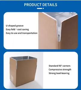 Recyclebare Opvouwbare Thermisch Geïsoleerde Aluminiumfolie Schuimfolie Verzending Kartonnen Doos Voor Diepvriesvisgroenten Verpakking