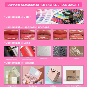 Juego de Brillo Labial Mineral de Larga Duración Personalizado ODM de 4 Piezas, Brillo Labial Líquido Mate Nude, Kit de Cosméticos de Belleza a Prueba de Agua - Product Image 6