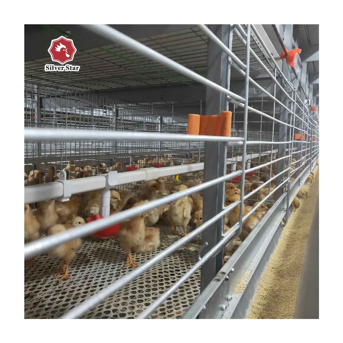 समर्थन अनुकूलित 160 मुर्गियों क्षमता 4-परत जस्ती चिकन पिंजरे