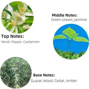 Parfum de marque authentique 30ml Woody Light Gradient Color pour femmes Parfum longue durée pour usage quotidien - Product Image 4