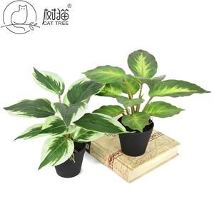 ต้นไม้ประดิษฐ์อะไกลโอเนมา ดอกไม้ปลอมเหมือนจริงสำหรับตกแต่งบนโต๊ะ - Product Image 1