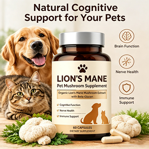 Complément alimentaire biologique à base de champignons Lion's Mane avec vitamine B12 pour soutenir la cognition et le système nerveux des chats et des chiens - Product Image 2