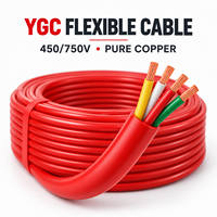 Câble en caoutchouc silicone YGC 2Core 2,5 mm 4 mm 6 mm, résistant aux hautes températures, câble d'alimentation flexible, fil électrique multiconducteurs en cuivre