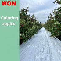WON Tapis blanc contre les mauvaises herbes pour la plantation de serres Tapis blanc réfléchissant contre les mauvaises herbes