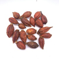 Gardenia Fruit Raw Gedroogd Natuurlijk Pigment Verkoelende TCM Kruidenthee voor Dagelijks Welzijn en Verlichting van Keelverwarming