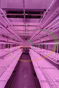 Système de tour hydroponique pour ferme verticale tours de culture aéroponique plantation d'intérieur serre équipement agricole tour jardin - Product Image 6