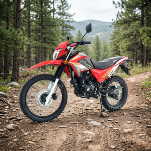 Motocicletas de Enduro de Alto Rendimiento 2025 X-PRO 250 de Grado Industrial con Garantía de 3 Años, Manillar de Aluminio, OEM ODM - Product Image 3