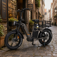 Vélo cargo électrique robuste pour livraison de repas, capacité de charge 175 kg, batterie lithium double 48V, moteur double 2000W, pneus larges 20*4.0, direct usine