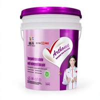 Peinture murale extérieure nano inorganique, revêtement en latex imperméable, silic...