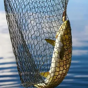 Get A Wholesale decorative fish net For Property Protection 