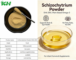 โรงงานผลิตอาหารเสริมสุขภาพ ผงชิโซไคทริอุม ดีเอชเอ 20% (CAS 6217-54-5) ที่ได้จากสาหร่าย - Product Image 4