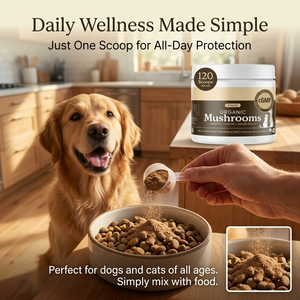 10 Masticables Blandos Inmunitarios de Champiñones con Beta-Glucano para Perros, Suplementos para la Salud Inmunitaria Canina, Suplementos para Mascotas, Salud para Perros - Product Image 5