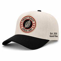 Gorra de Béisbol Personalizada con Parche Bordado, 6 Paneles, de Algodón, para Hombre y Mujer, con Cierre a Presión, Dos Tonos, con Insignia Bordada en 3D
