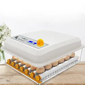 Hhd Intelligent Control Ce Goedgekeurde Incubator Voor 112 Eieren 12 Maanden Volautomatisch Voor Broedeieren