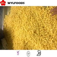 IQF Diepvries Mango Premium Kwaliteit Fruit Zoete Smaak Durian Halve Stukken Brokken Bulkverpakt Puree Kubussen China's Beste Leverancier