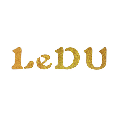 Shenzhen Ledu Intelligent Technology Co., Ltd. logo