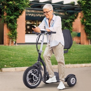 Scooter Elettrico a <span class=keywords><strong>3</strong></span> <span class=keywords><strong>Ruote</strong></span> con Batteria al Litio, Motore Brushless, Telecomando, Magazzino Europeo, <span class=keywords><strong>Ruote</strong></span> da 11 Pollici - Product Image 1