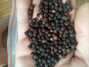 เครื่องเทศพริกไทยดำแห้งจำนวนมากพริกไทยดำคุณภาพพรีเมี่ยมทำในเวียดนามราคาโรงงาน-Ws 0084989322607 - Product Image 5