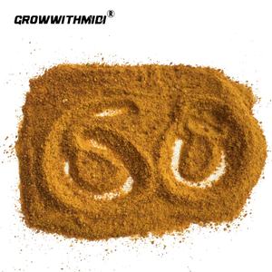 <span class=keywords><strong>Repas</strong></span> de Gluten de maïs à prix de gros 60% sans nitrogène Non protéique - Product Image 2