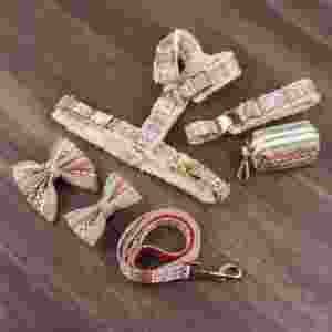 Sinsky elegante diseñador personalizado mascota perro arnés cómodo personalizado arnés ajustable en forma de Y arnés perro - Product Image 5