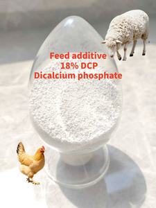 Dcp תוספי תזונה נכונה סידן וזרחן כדי להפחית את הסיכון של בעלי חיים ומחלות עצם העופות - Product Image 4