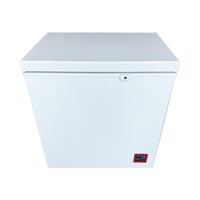 Congélateur coffre solaire DC 12V 100L 150L 200L 300L 400L 500L avec porte simple, dégivrage manuel, alimentation solaire et par batterie