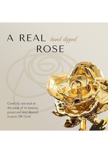 Real Rose Dipped in 24K Gold Electroplated Natural Rose Luxury <b>Box</b> Packing Home Decor Valentine Anniversary <b>Gift</b> Flower - Product Image 5