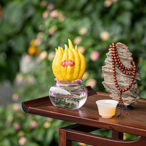Florero de Vidrio Estilo Chino, Recipiente para Plantas Hidropónicas, Vidrio de Borosilicato de Alta Calidad, Decoración de Escritorio con Vegetación - Product Image 4