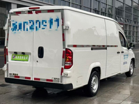 Offre Spéciale Véhicule d'occasion Wuling Lingshi Gold Warehouse 2024 Cargo EV Autonomie NEDC 201-300km Batterie LFP Moteur 50-100KW Faible Coût