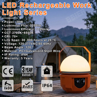 Lampe de travail LED rechargeable haute luminosité 20W, étanche IP65, avec 3 ans de garantie CE ROHS