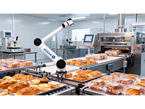หุ่นยนต์ร่วมปฏิบัติงาน HUAYAN S50 รับน้ำหนักได้ 50 กก. แบบ 6 แกน (Cobot)-IP54 ระยะการทำงาน 0.1 มม. ความแม่นยำในการทำซ้ำ 0.1 มม. สำหรับงานจัดเรียงพาเลท - Product Image 2