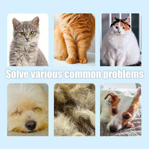 โอเมก้า3น้ำมันปลาแซลมอนโอเมก้า3อาหารเสริมสำหรับแมวดูแลผิวและดูแลเส้นผม0.75กรัม * 60ชิ้น - Product Image 4