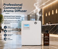 Diffuseur de parfum professionnel pour la maison, 300 ml, pour hall d'hôtel, électrique, sans eau, OEM, HVAC, machine à parfum de luxe, directement de l'usine
