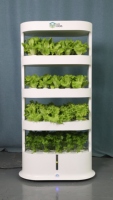 Fournitures agricoles hydroponiques automatiques pour le jardin domestique Système hydroponique vertical complet pour la culture de légumes