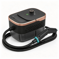 Nettoyeur vapeur portable haute pression multifonctionnel 1250-1600 ml avec 10 têtes de brosse pour le nettoyage en profondeur de la maison, de la voiture et de la cuisine