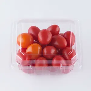 250g Plastic Clamhsell Packaging for Strawberry