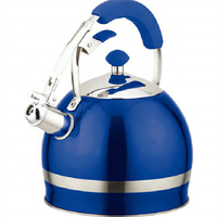 Théière moderne à fond d'induction avec bouilloire à sifflet en acier inoxydable 3L avec poignée en bakélite Conception d'ustensiles de cuisine