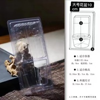 Boîte à clapet en plastique pour plantes en pot boîte d'emballage blister pour plantes expédition